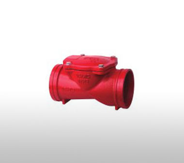 溝槽橡膠瓣止回閥